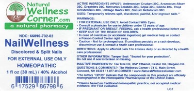 1 Fl. Oz. Bottle Label (Wellness Corner Nail Wellness)